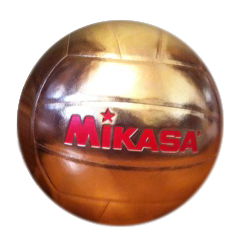 Mikasa Gold Ball